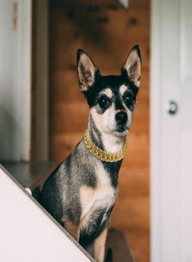 OXDFK Cuban Dog Chain Collars, Gold Crystal Pet Necklace, Metal Pet Necklace with Safety Buckle Lock, for Small Medium Large Dogs Cats (12 Inch) - Image 5